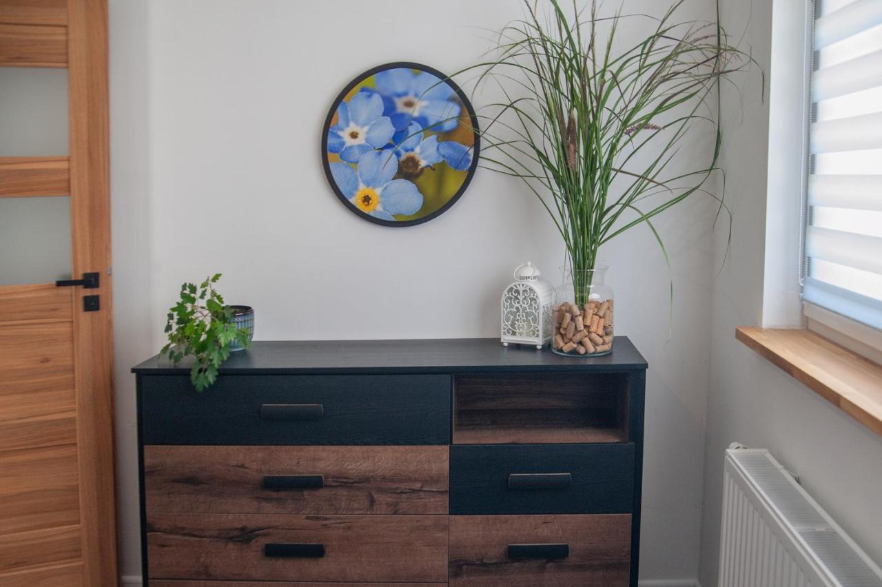 דירות Warmbrunn Apartament Niezapominajka מראה חיצוני תמונה